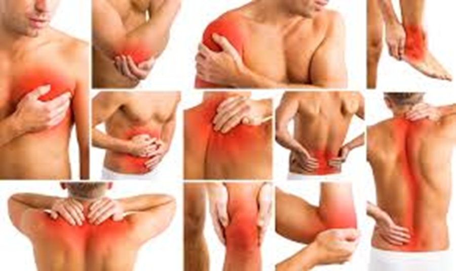 Physiotherapy Center Near Palasia, Indore 